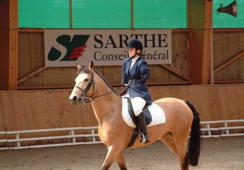 femme équitation handicap