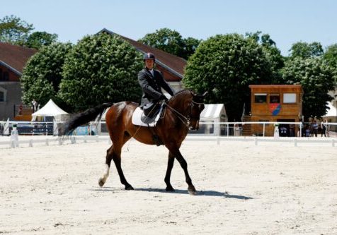 equitation cheval handisport