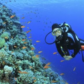 plongée sous marine