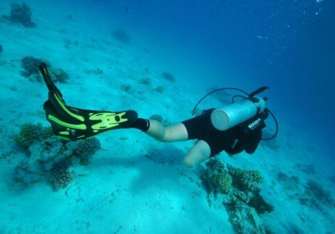 plongée handicap handisport