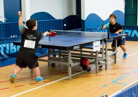 table tennis de table joueurs handisport